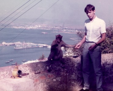 Top of the Rock of Gibraltar with a Barbary Ape