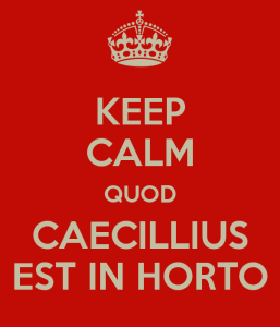 caecilius2