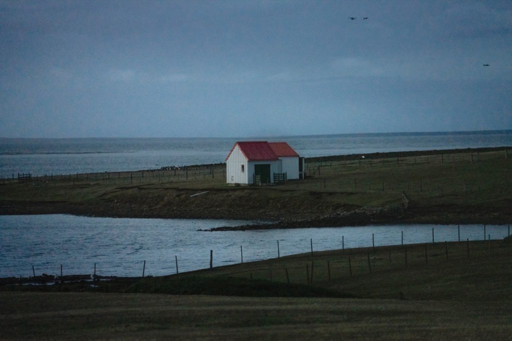 The Falkland Islands